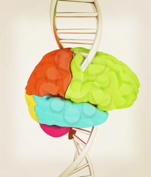 Brain and dna. 3d illustration