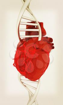 DNA and heart. 3d illustration