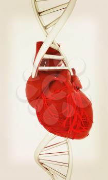 DNA and heart. 3d illustration