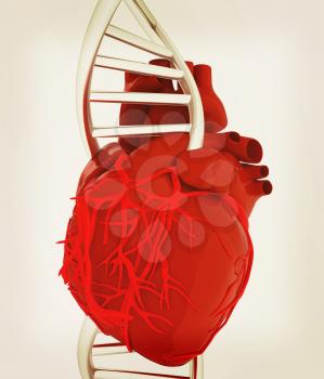 DNA and heart. 3d illustration