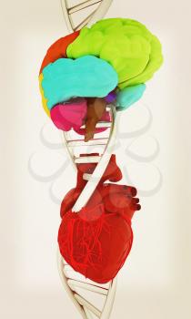 DNA, brain and heart. 3d illustration