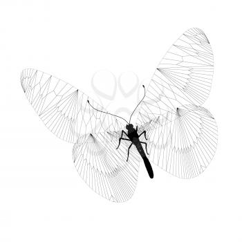 line butterfly. 3d illustration