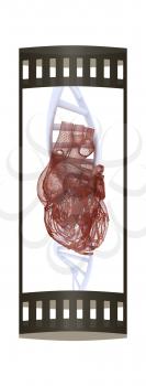 DNA and heart medical concept. 3d illustration. The film strip.