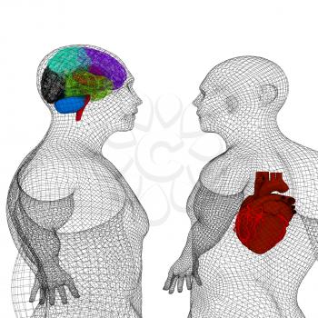 Wire human body model with heart and brain in x-ray. 3d render