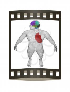 Wire human body model with heart and brain in x-ray. 3d render. Film strip.