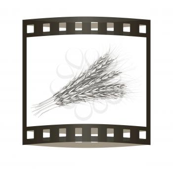 Metall spikelet. 3d render. Film strip.