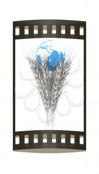 Metal ears of wheat and Earth. Symbol that depicts prosperity, wealth and abundance. 3d render. Film strip.