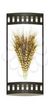 Golden spikelet. 3d render. Film strip.