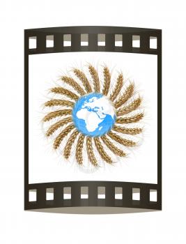 3D illustration of a golden wreath made of wheat spikelets with Earth. Design element. 3d render. Film strip.