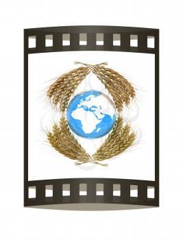 Wheat ears logo design with Earth. 3d render. Film strip.