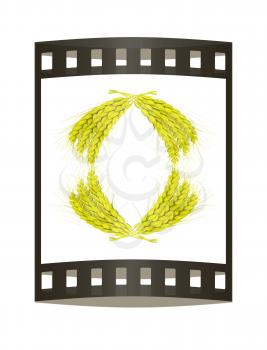 Wheat ears logo. Mock up for you design. 3d render. Film strip.