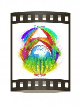 A colorful basket of wheat for Easter or Thanksgiving. Global concept with the earth ball inside. 3d render. Film strip.