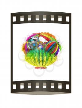 Colored basket of the ears of wheat with Easter eggs. 3d render. Film strip.