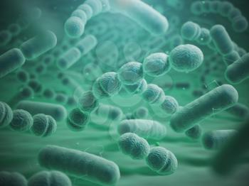 Various bacteria cells in microscope. Streptococcus pneumonia, pneumococcus, enterobacteriaceas, escherichia coli, salmonella, klebsiella and others. 3d illustration