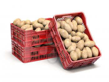 Potatos in plastic crates isolated on white. 3d illustration