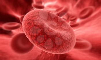 Blood cell  in focus