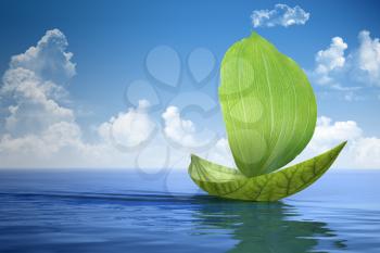 ship made of green leaves and floating on the water