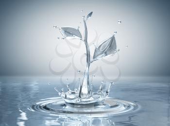 Water splash in form of plant