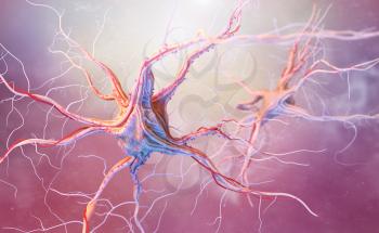 Neurons and nervous system. 3d render of nerve cells