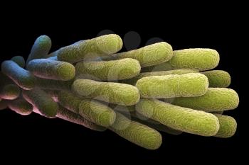 Legionella Pneumophila Bacteria. 3D illustration