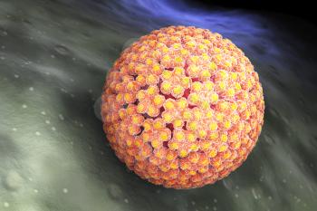 Human papillomavirus (HPV) is a DNA virus from the papillomavirus family. 3D illustration