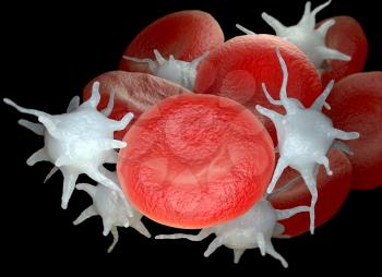 Red blood cells and activated platelets or thrombocytes. 3D illustration