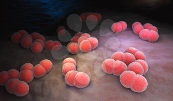 Neisseria meningitidis or meningococcus is a bacterium that can cause meningitis and other forms of meningococcal disease. 3D illustration