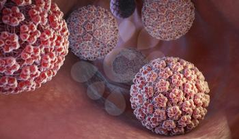 Human papillomavirus (HPV) is a DNA virus from the papillomavirus family. 3D illustration