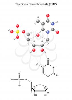 Nucleotide Clipart