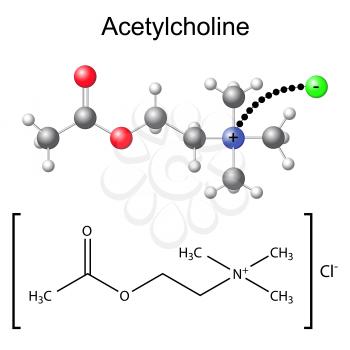 Neurotransmitter Clipart