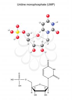 Biochemical Clipart
