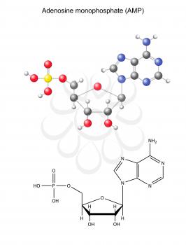 Adenosine Clipart