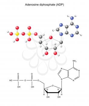 Adenosine Clipart