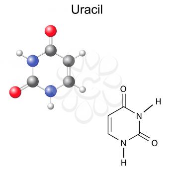 Nucleotide Clipart