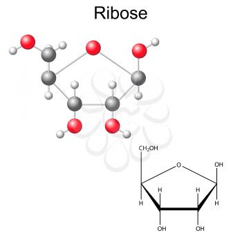 Rna Clipart