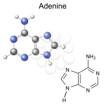 Nucleoside Clipart