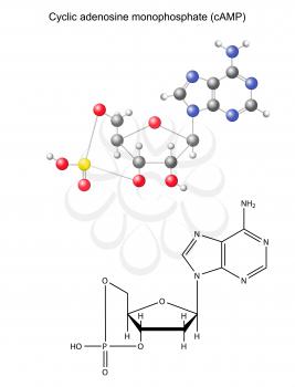 Nucleobase Clipart