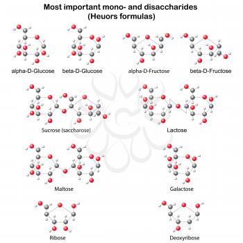 Disaccharide Clipart