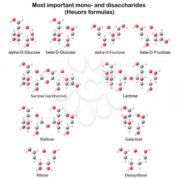 Maltose Clipart