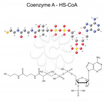 Coenzyme-a Clipart