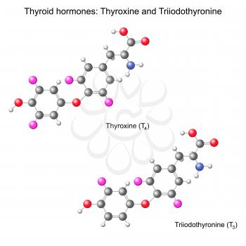 Triiodothyronine Clipart