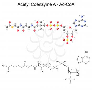 Coenzyme Clipart