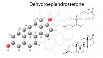 Dehydroepiandrosterone Clipart