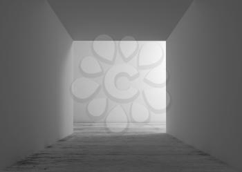 Abstract white interior background, corridor with concrete flooring, doorway niche and dark end. 3d render illustration 
