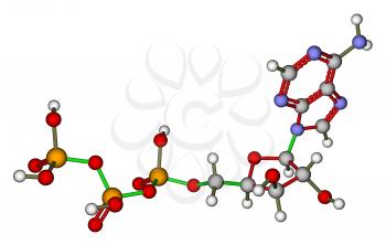 Optimized molecular structure of adenosine triphosphate (ATP) on a white background