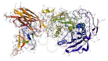 Enzyme pancreatic lipase-colipase complex