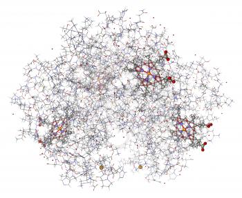 Human hemoglobin (deoxyhemoglobin) with hemes showed in balls and sticks