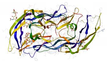 Follicle-stimulating hormone molecular structure