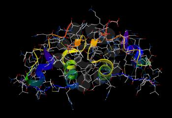 Insulin 3D molecular model