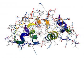 Insulin molecular structure